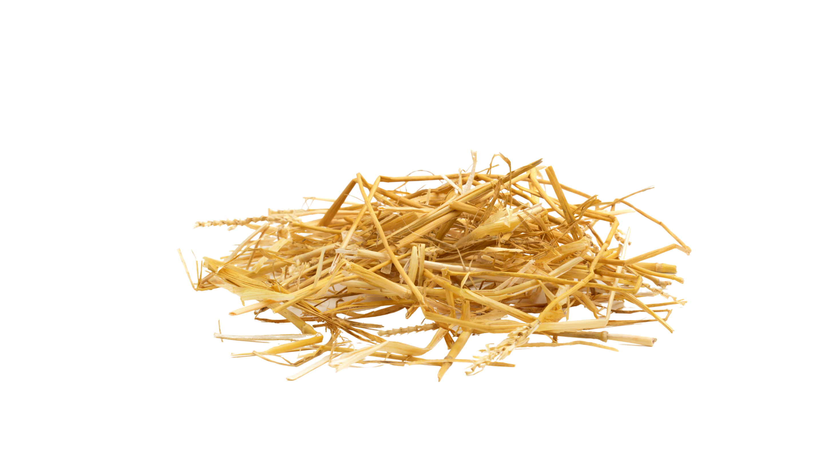 Welkom bij het Lansingerland  Wij bieden&nbsp;talloze mogelijkheden en leveren graag maatwerk. Of het nu gaat om de producten uit de landwinkel of een offerte voor een vergadering. Laat ons weten wat uw wensen zijn.&nbsp; Vul het onderstaande contactformulier in of bel als u het prettiger vindt om direct in contact te komen met een van onze medewerkers.